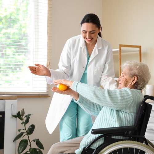 Professional In-Home Care venice fl