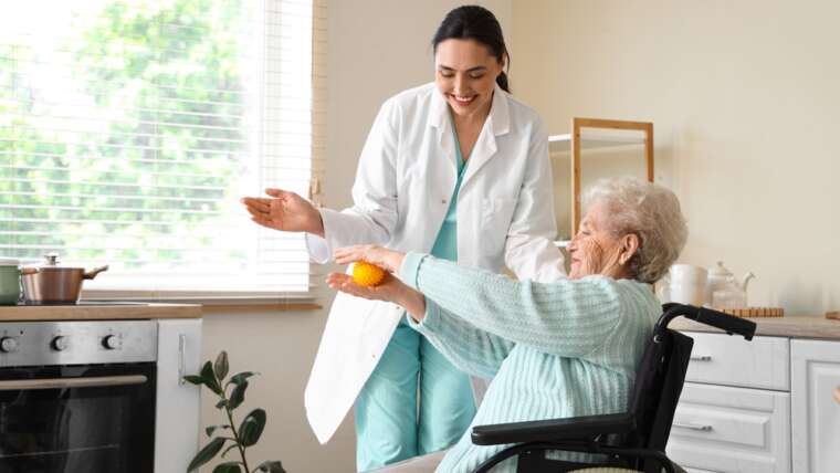 Professional In-Home Care venice fl