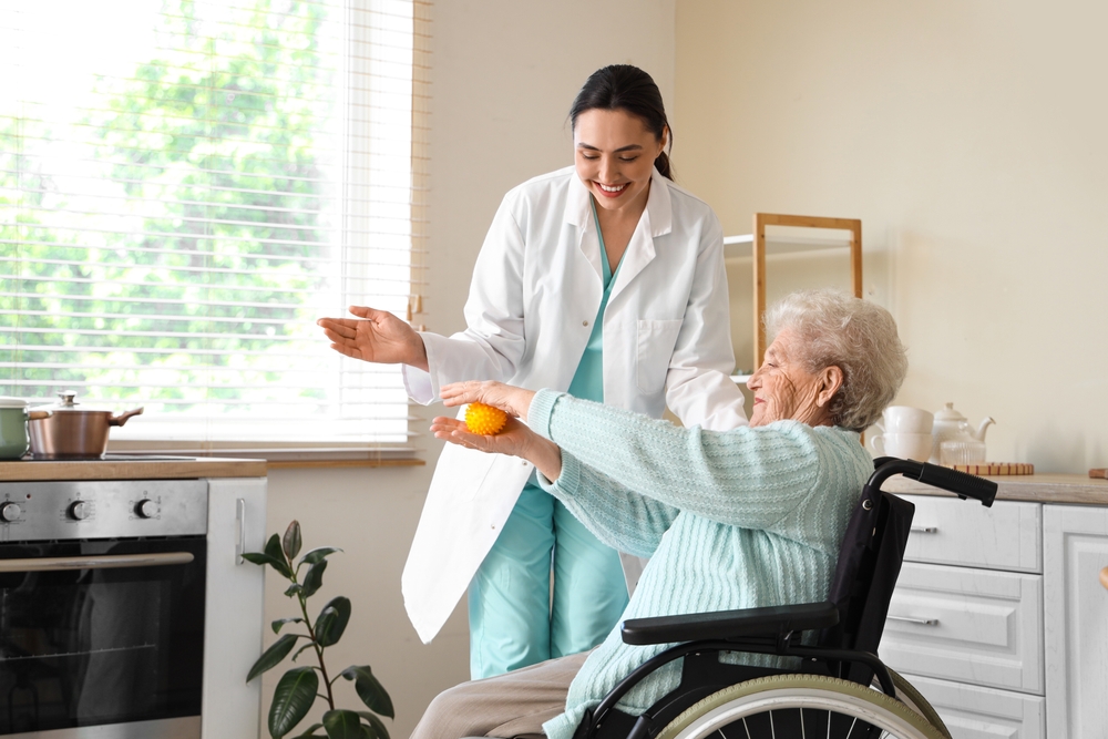 Professional In-Home Care venice fl
